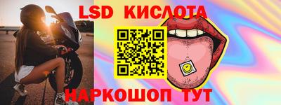 амф Новодвинск