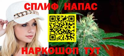 амф Новодвинск
