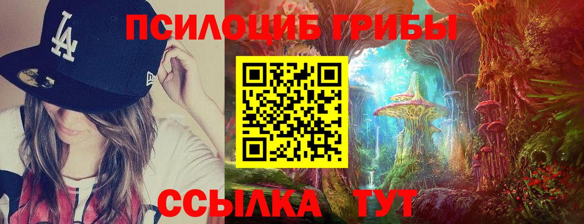 где найти   Вход с VPN  Псилоцибиновые грибы прущие грибы  Шадринск  Псилоцибиновые грибы ЛСД 