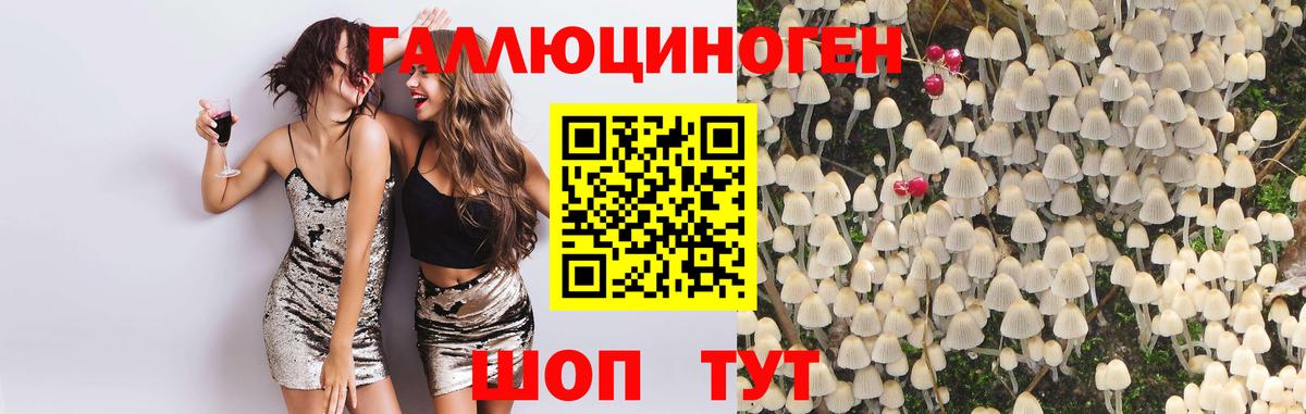 Галлюциногенные грибы Magic Shrooms Шадринск