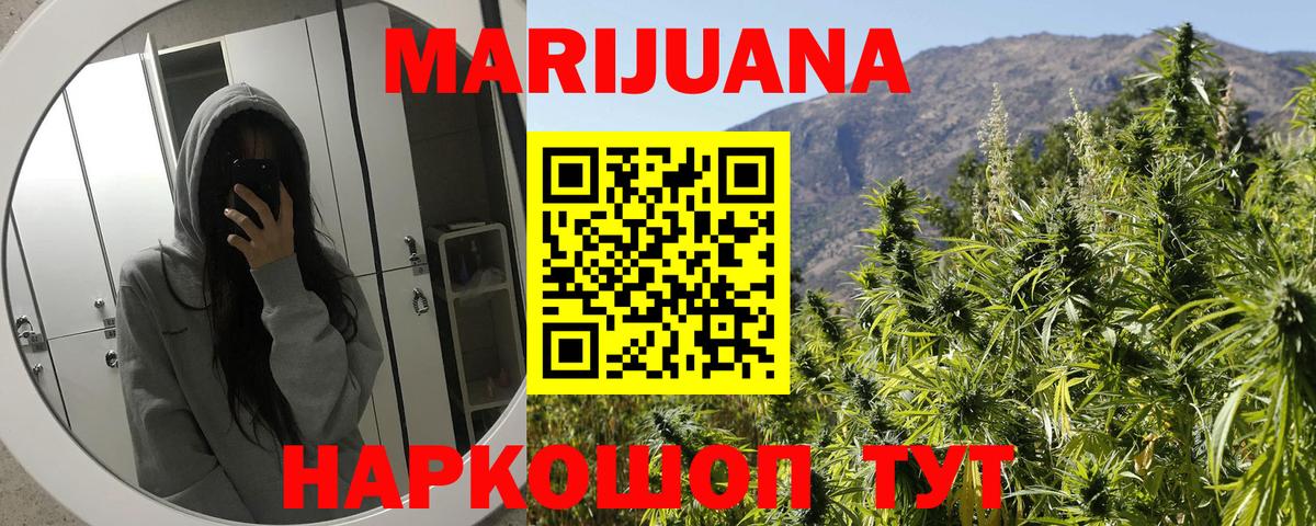 Бошки Шишки конопля  МАРИХУАНА планчик  Вход с VPN  Шадринск 